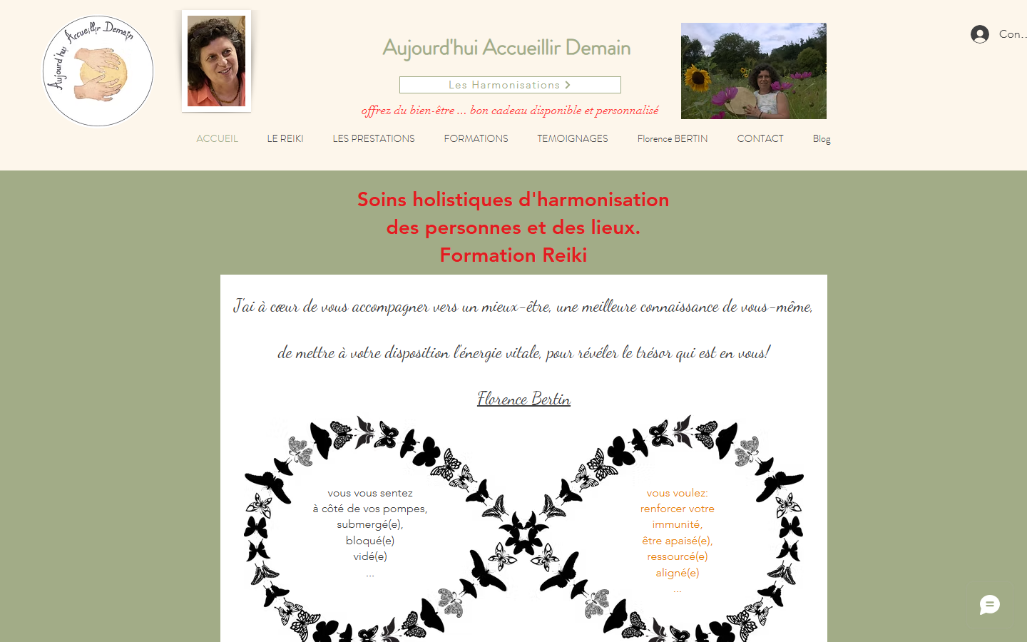 Capture du site officiel de Aujourd'hui Accueillir Demain, Soin Holistique personnes et lieux, Formation Reiki proche Limoux